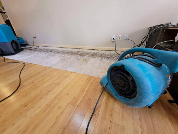 Professional Structural Drying technician working in Kellogg, IA